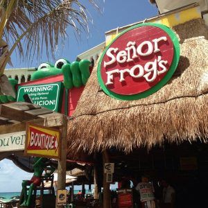 Señor Frog Margarita